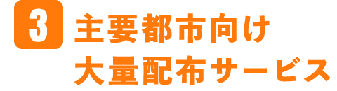 3.主要都市向け大量配布サービス